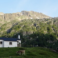 DSC06360